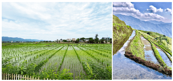 旅游经济下的新农村生活方式研究——以重庆卧龙河乡村景观设计为例