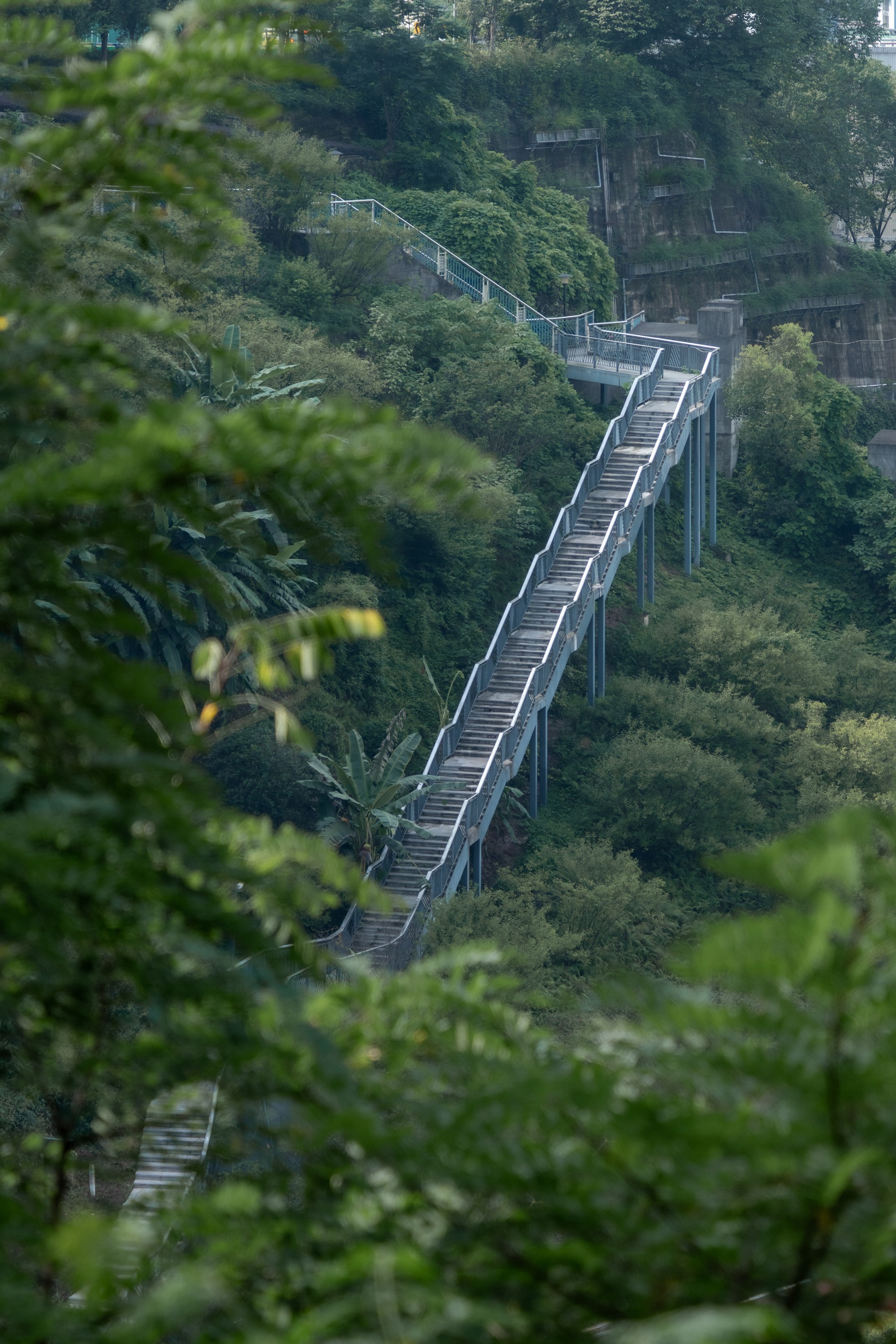 16-最美步道.jpg