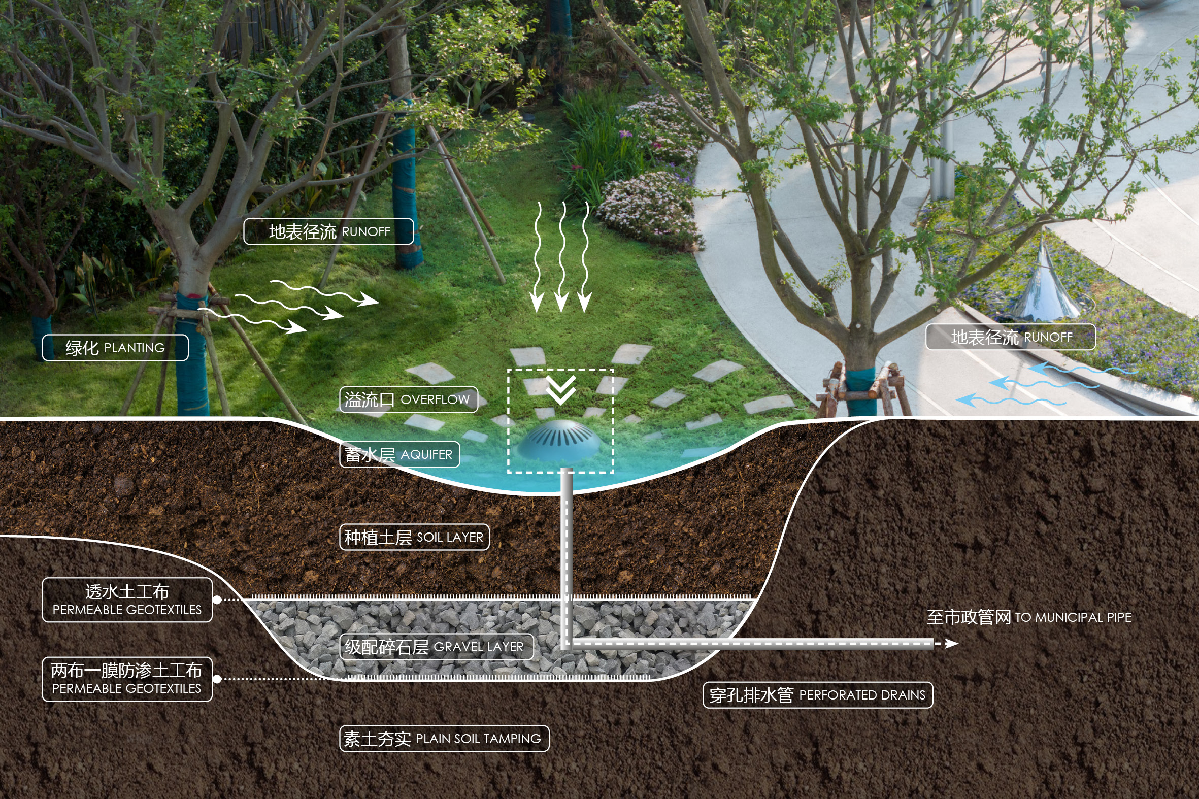 雨水花园.jpg