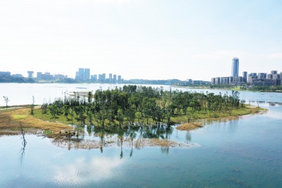 鹿溪河流域兴隆湖水生态综合提升工程——兴隆湖林水一体化整体生态系统专项设计